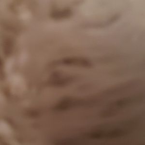 Meet your Posher, Magg